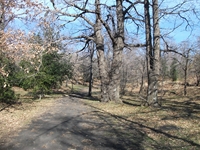 fugio Pianobello04032012 006